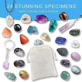 Rock Collection Calendrier de lAvent pour enfants avec 24 pierres précieuses, minéraux et fossiles, compte à rebours de Noël