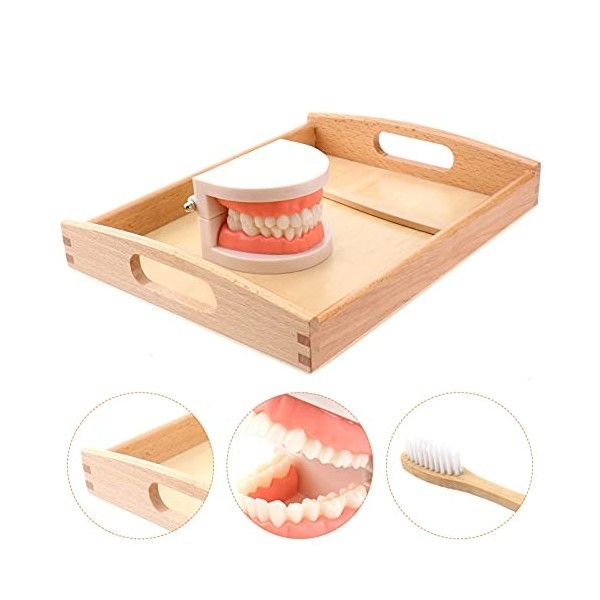 Toyvian 1 Jeu Aides Pédagogiques pour Le Brossage des Dents des Enfants Brossage Modèle Jouet Dentiste Jeu Faux Appareils Den