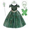 IMEKIS Enfant Filles Princesse Anna Costume Robe Elsa Reine des Neiges Halloween Déguisement Fleur Anniversaire Tutu avec Acc