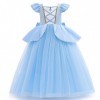 IMEKIS Filles Cendrillon Aurore Costume Princesse Fantaisie Halloween Carnaval Cosplay Habiller Robe en Tulle à Volants Fleur