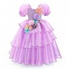 IWEMEK Déguisement de fée Filles Robe de Princesse Carnaval Halloween Costume Conte de fée Manches bouffantes Longue Robe Noë