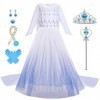 Elsa shabille pour les filles Robe de princesse La Reine des Neiges avec ensemble daccessoires couronne Déguisement fantais