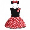 FYMNSI Robe tutu à pois,Pour enfant,Pour le carnaval,En forme de souris,Pour un anniversaire, une fête, un cosplay,Manches co