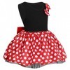 FYMNSI Robe tutu à pois,Pour enfant,Pour le carnaval,En forme de souris,Pour un anniversaire, une fête, un cosplay,Manches co