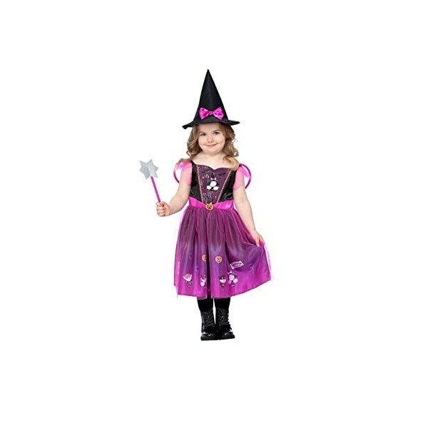 Ben and Hollys Little Kingdom, Holly Witch - Costume, Dress, Wings, Hat & Wand - T2