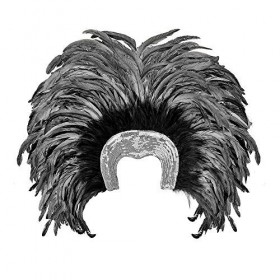 "FEATHERED BRAZIL HEADDRESS" - silver -