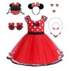 Deguisement Princesse Fille, Enfants Bébé Robe Tutu à Pois avec Oreilles Souris Sac, Bandeau, Collier, Enfants, Robe Minnie p