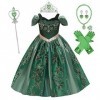 Fille Costume de Reine des Neiges Anna Robe Enfant Princesse Cosplay Carnaval Costume Noël Halloween Robe Fête Anniversaire L