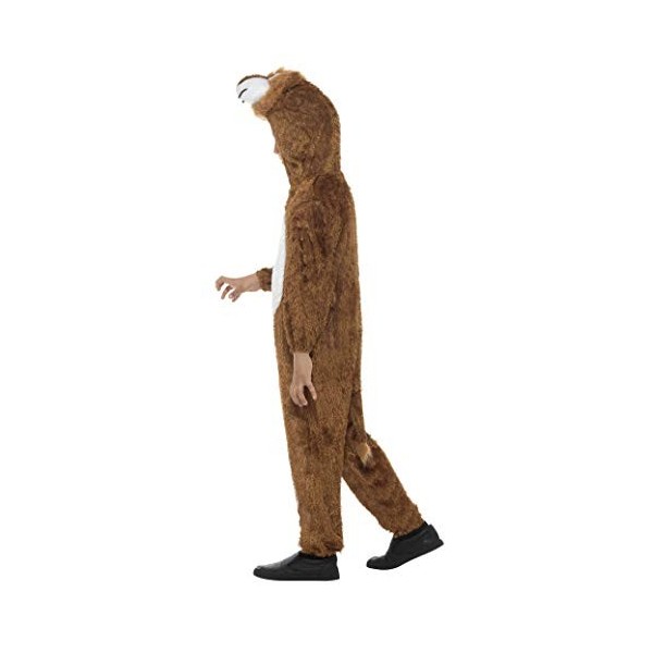 Lion Costume