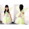 KIRALOVE - Costume - Déguisement - Carnaval - Halloween - Fée - Elfe des Bois - Trilli - Clochette - Trilly - Tinker Bell - V