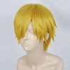 KFMJF Cosplay Anime Faux Cheveux pour One Piece Sanji, Costume, ​Perruque, Fête, Carnaval, Vie Nocturne, Concerts, Mariage