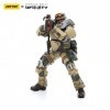 Bloomage Joytoy Tech - Joytoy Infinity Ariadna Marauders 5307Th Range Unit3 1/18 Action Figure Net 