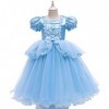 Odizli Cendrillon Costume Enfant Fille Princesse Robe Tulle Longue Robe de Bal Halloween Noël Carnaval Party Cosplay + Access