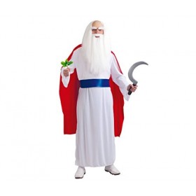 Déguisement Druide Adulte Unique