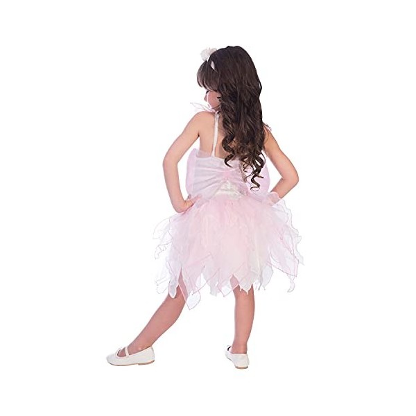 Amscan Rose Fairy 2 - 3 Years Déguisement Girls, 9904095 - version anglaise
