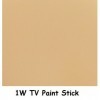 TV PaintStick Douille rotative 5 W