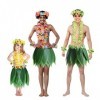 NOLITOY Hula Rock Kit daccessoires de costume hawaïen Performance Costume tropical Hula Grass Jupe de danse Party Hawaii Rob