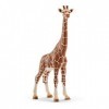 Schleich 14750 Girafe femelle, dès 3 ans, Wild Life - figurine, 9 x 4,2 x 17,2 cm