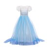 Costume de princesse Elsa La Reine des Neiges 2 Elsa pour fille - Déguisement de Reine des Neiges pour Halloween, Noël, carna