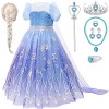 Deguisement Reine Des Neiges Fille avec Elsa Perruque Couronner Collier Bracelet Robe Reine Des Neiges Princesse Elsa Costume