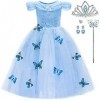 LiUiMiY Robe Princesse Fille Cendrillon Deguisement Costume Enfant Papillon Carnaval Halloween Fêtes Noël Anniversaire avec A