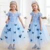 LiUiMiY Robe Princesse Fille Cendrillon Deguisement Costume Enfant Papillon Carnaval Halloween Fêtes Noël Anniversaire avec A