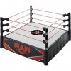 WWE Mattel Collectible Ring Raw