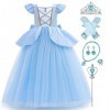 IBAKOM Enfant Fille Robe Princesse Cendrillon Cosplay Tenues Carnaval Halloween Noël Anniversaire Fête Jouer un rôle Gants Ba