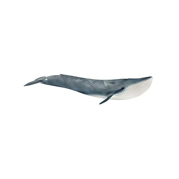 Schleich 14806 Baleine Bleue, dès 3 Ans, Wild Life - Figurine, 27,1 x 10,5 x 5,9 cm