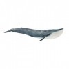 Schleich 14806 Baleine Bleue, dès 3 Ans, Wild Life - Figurine, 27,1 x 10,5 x 5,9 cm