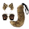 URFEDA Chat Cosplay Costume, Serre-tête Oreilles de Chat + Pattes en Peluche + Queue de Chat, Doux et Moelleux Animaux Longue