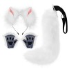Chat Cosplay Set, Oreilles de Chat Serre Tete, Queue de Chat en Peluche, Chat Pattes Mignon, Cosplay Robe danimal, pour Fête