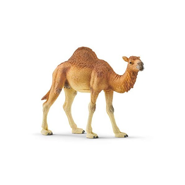 Schleich- Figurine Dromadaire Wild Life, 14832, Multicolore