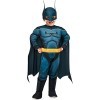 Rubies Toddler DC League of Super Pets Batman Costume, As Shown, 2T