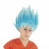 Chaks Perruque Bleue Goku Saiyan Super Dragon Ball Enfant - Bleu - Taille Unique