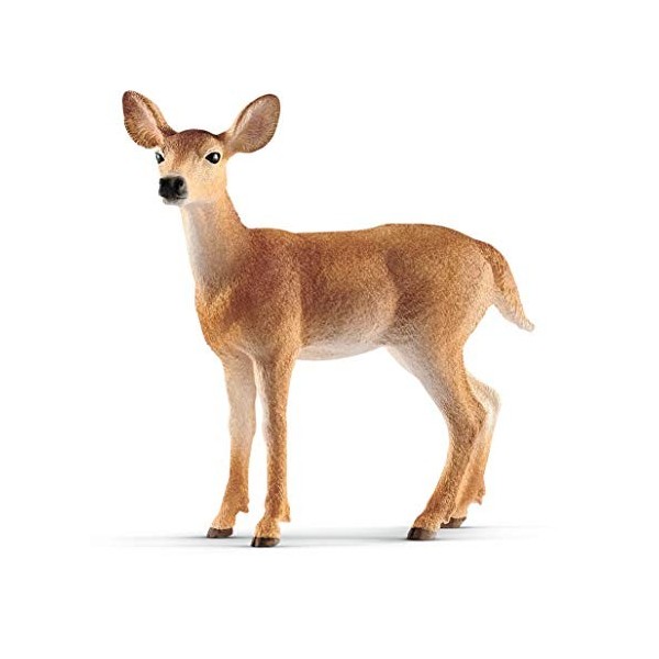 Schleich 14819 Biche de Virginie, dès 3 ans, Wild Life - figurine, 8,6 x 3,5 x 8,5 cm