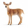 Schleich 14819 Biche de Virginie, dès 3 ans, Wild Life - figurine, 8,6 x 3,5 x 8,5 cm