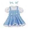 Rubies Costume pour Enfant Dorothy du Magicien dOz Enfant