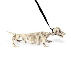 "DACHSHUND SKELETON WITH LEASH" 55cm -