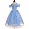 Lito Angels Deguisement Robe Princesse Cendrillon avec Accessories Enfant Fille, Anniversaire Fete Carnaval Halloween Costume