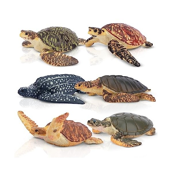 toymany Lot de 6 Figurines de Tortues, Ensemble de Figurines danimaux de Tortue réalistes, Figurines de Jouets océaniques, F