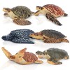 toymany Lot de 6 Figurines de Tortues, Ensemble de Figurines danimaux de Tortue réalistes, Figurines de Jouets océaniques, F