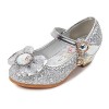 FStory&Winyee Chaussures de Princesse à Talons Hauts pour Enfants Filles Paillettes Chaussures Confortables pour Noël Hallowe