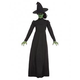 Wicked Witch Costume, Black S 