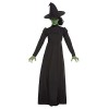 Wicked Witch Costume, Black S 