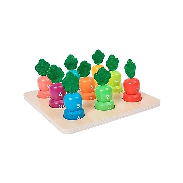 Generic Jeu de Correspondance Des Couleurs Montessori, Jeu de de Carottes, Tri et Correspondance Des Carottes Montessori pour