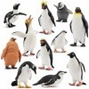 TOYMANY Lot de 12 figurines danimaux pingouin Antarctique - Polar - Jouet dhiver - Petits animaux - Animaux en plastique - 