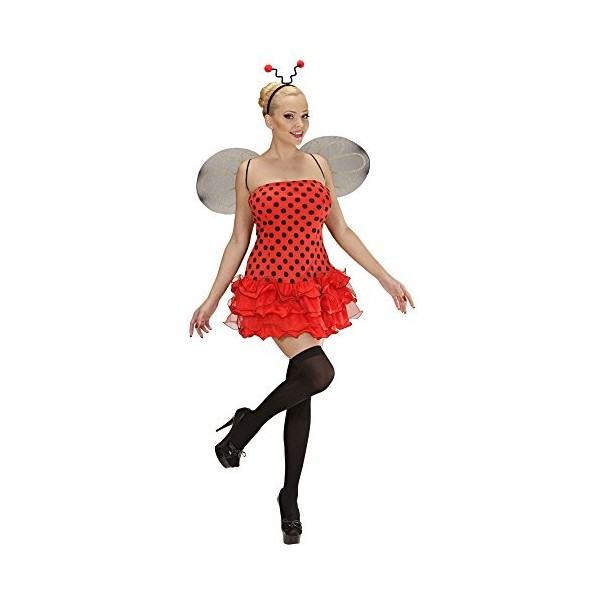 "LADYBUG" dress, wings, antennas - S 