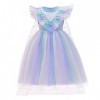 FYMNSI Elsa Costume Fille Reine des Neiges Déguisement Princesse Paillettes Robe en Tulle avec Flocon de Neige Cape Tenue pou