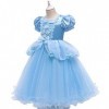 IWEMEK Filles Cendrillon Costume Princesse Robe Longue en tulle + Accessoires Ensemble Conte De Fées Cosplay Halloween Carnav